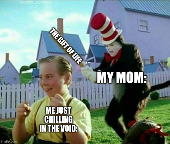 Cat in the hat | THE GIFT OF LIFE; MY MOM:; ME JUST CHILLING IN THE VOID: | image tagged in cat in the hat | made w/ Imgflip meme maker