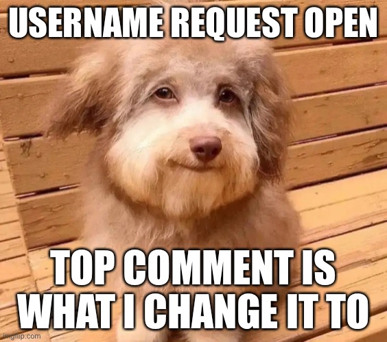 Please comment something | USERNAME REQUEST OPEN; TOP COMMENT IS WHAT I CHANGE IT TO | image tagged in this dog is fricked up bruh | made w/ Imgflip meme maker