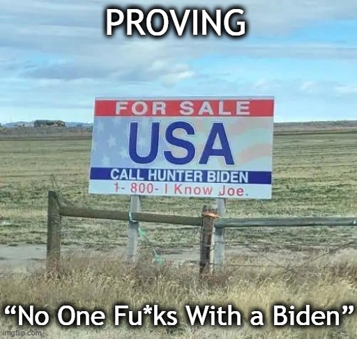 But a Biden Can Fu*k Up a Country . . . | PROVING; “No One Fu*ks With a Biden” | image tagged in politics,joe biden,hunter biden,10 percent for the big guy,political humor,wtf | made w/ Imgflip meme maker