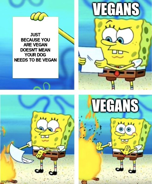 vegans with dogs | VEGANS; JUST BECAUSE YOU ARE VEGAN DOESN'T MEAN YOUR DOG NEEDS TO BE VEGAN; VEGANS | image tagged in spongebob burning paper | made w/ Imgflip meme maker