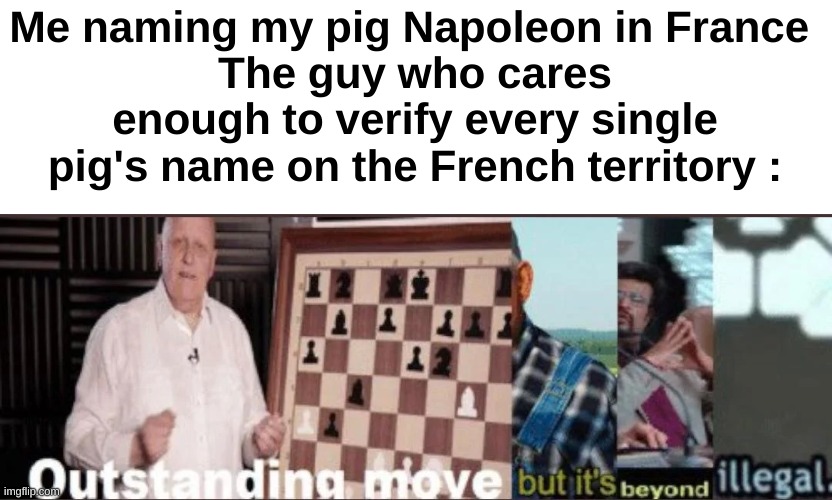 Why does this law exist | Me naming my pig Napoleon in France 
The guy who cares enough to verify every single pig's name on the French territory : | image tagged in memes,lol | made w/ Imgflip meme maker