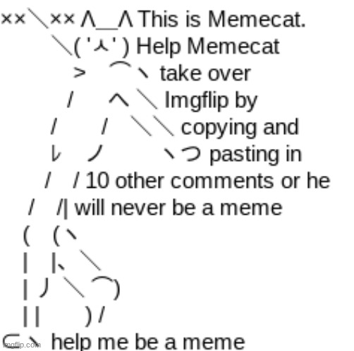 High Quality meme_cat Blank Meme Template