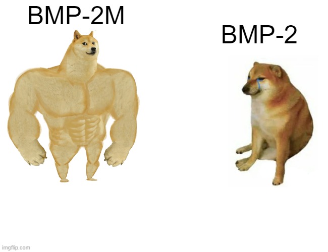 Buff Doge vs. Cheems | BMP-2M; BMP-2 | image tagged in memes,buff doge vs cheems | made w/ Imgflip meme maker
