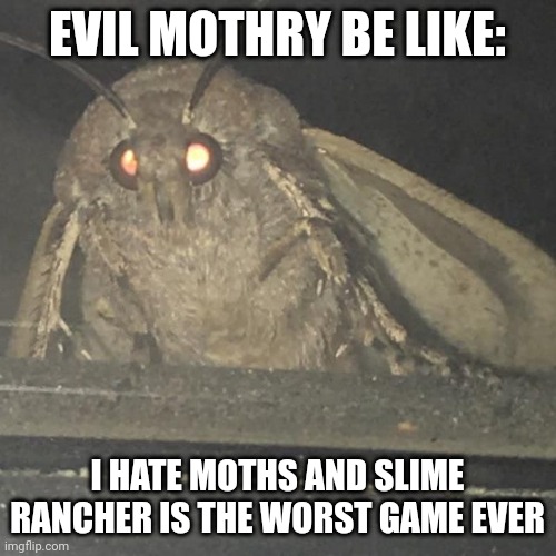 Moth lamp | EVIL MOTHRY BE LIKE:; I HATE MOTHS AND SLIME RANCHER IS THE WORST GAME EVER | image tagged in moth lamp | made w/ Imgflip meme maker