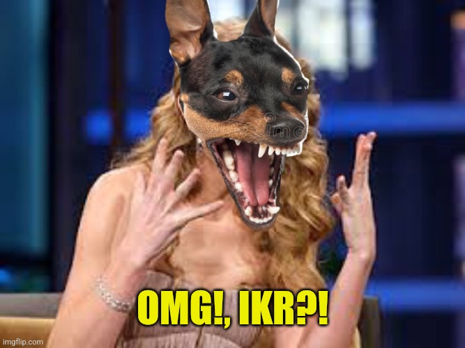 Taylor Swift OMG dog | OMG!, IKR?! | image tagged in taylor swift omg dog | made w/ Imgflip meme maker