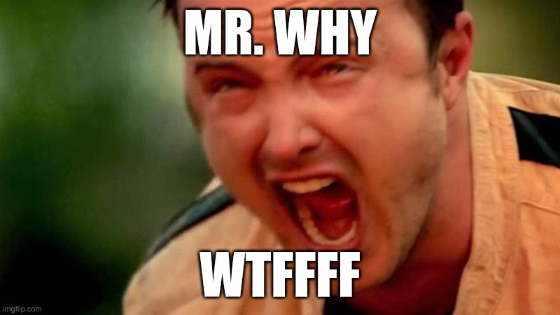 Aaron Paul Screaming | MR. WHY; WTFFFF | image tagged in aaron paul screaming | made w/ Imgflip meme maker