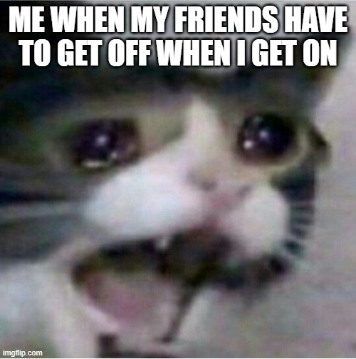 sad. | ME WHEN MY FRIENDS HAVE TO GET OFF WHEN I GET ON | image tagged in crying cat | made w/ Imgflip meme maker