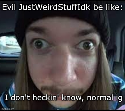 normal | Evil JustWeirdStuffIdk be like:; I don't heckin' know, normal ig | made w/ Imgflip meme maker