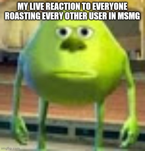Sully Wazowski | MY LIVE REACTION TO EVERYONE ROASTING EVERY OTHER USER IN MSMG | image tagged in sully wazowski | made w/ Imgflip meme maker