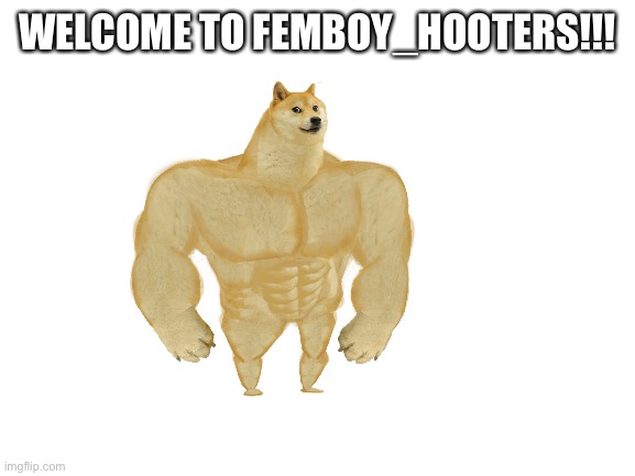 Welcome!!!! | WELCOME TO FEMBOY_HOOTERS!!! | image tagged in blank white template | made w/ Imgflip meme maker
