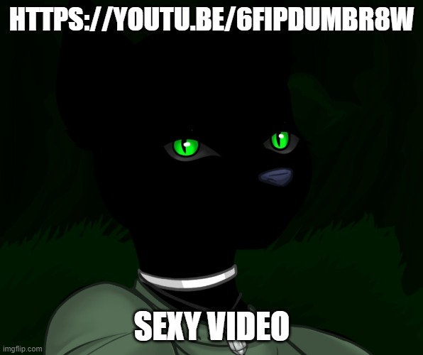very sexy | HTTPS://YOUTU.BE/6FIPDUMBR8W; SEXY VIDEO | image tagged in my new panther fursona | made w/ Imgflip meme maker