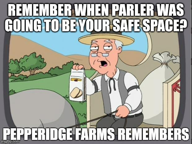 PEPPERIDGE FARMS REMEMBERS | REMEMBER WHEN PARLER WAS GOING TO BE YOUR SAFE SPACE? | image tagged in pepperidge farms remembers | made w/ Imgflip meme maker