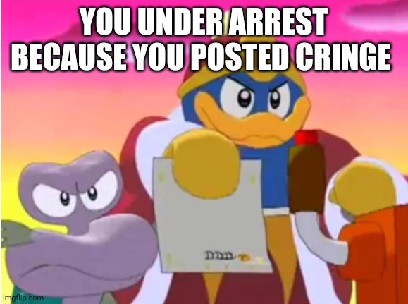 You're gonna need it on social medias and sites | YOU UNDER ARREST BECAUSE YOU POSTED CRINGE | image tagged in king dedede,kirby,nintendo,cringe,internet,memes | made w/ Imgflip meme maker