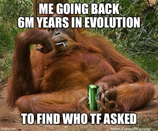 who asked | ME GOING BACK 6M YEARS IN EVOLUTION TO FIND WHO TF ASKED | image tagged in who asked | made w/ Imgflip meme maker
