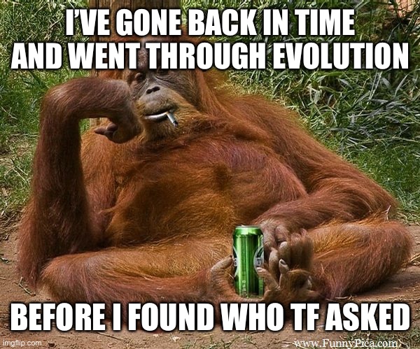 who asked | I’VE GONE BACK IN TIME AND WENT THROUGH EVOLUTION BEFORE I FOUND WHO TF ASKED | image tagged in who asked | made w/ Imgflip meme maker