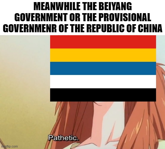 MEANWHILE THE BEIYANG GOVERNMENT OR THE PROVISIONAL GOVERNMENR OF THE REPUBLIC OF CHINA | image tagged in textbox,pathetic | made w/ Imgflip meme maker