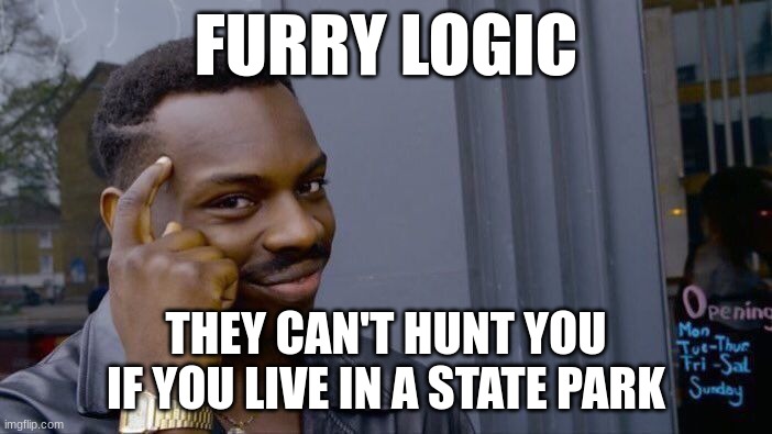 yes | FURRY LOGIC; THEY CAN'T HUNT YOU IF YOU LIVE IN A STATE PARK | image tagged in memes,roll safe think about it | made w/ Imgflip meme maker