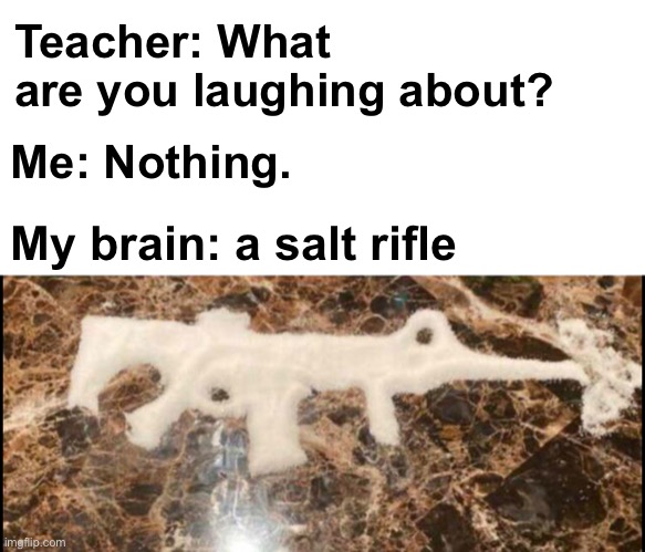 ....Get it? | Teacher: What are you laughing about? Me: Nothing. My brain: a salt rifle | image tagged in memes,unfunny | made w/ Imgflip meme maker