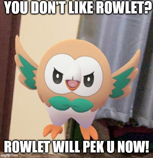 /j | YOU DON'T LIKE ROWLET? ROWLET WILL PEK U NOW! | image tagged in angry rowlet | made w/ Imgflip meme maker