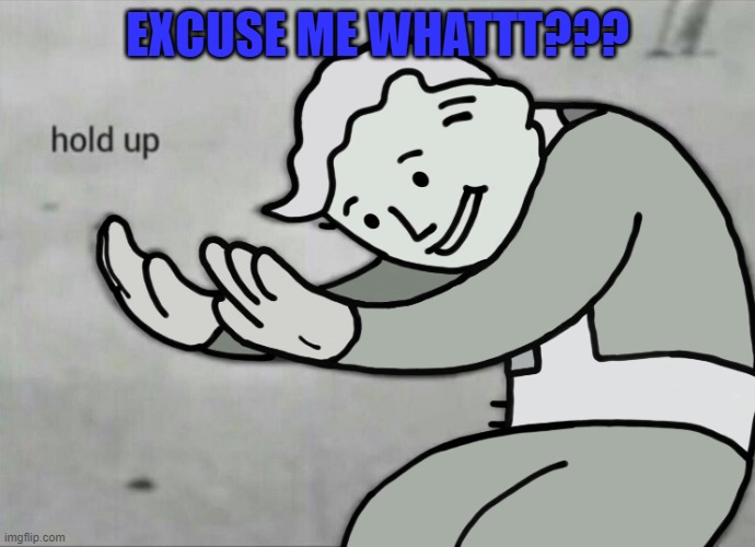 Wait Hold Up | EXCUSE ME WHATTT??? | image tagged in wait hold up | made w/ Imgflip meme maker