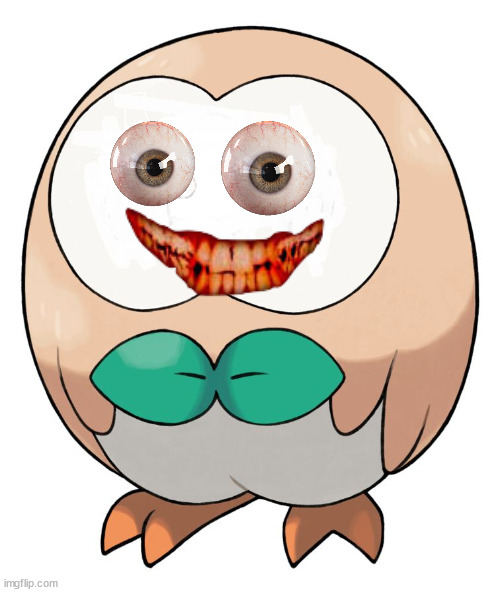 what did i do- | image tagged in rowlet | made w/ Imgflip meme maker
