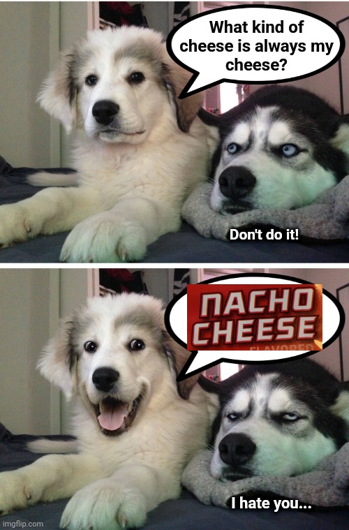 Bad pun doggies | What kind of
cheese is always my
cheese? Don't do it! I hate you... | image tagged in memes,bad pun dogs,cheese,nacho cheese | made w/ Imgflip meme maker