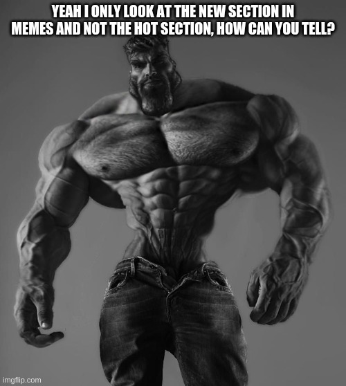 bro you are a giga chad if you look at the new section | YEAH I ONLY LOOK AT THE NEW SECTION IN MEMES AND NOT THE HOT SECTION, HOW CAN YOU TELL? | image tagged in gigachad | made w/ Imgflip meme maker