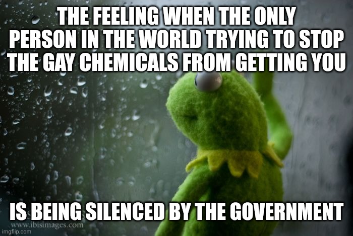 Save the Frogs | THE FEELING WHEN THE ONLY PERSON IN THE WORLD TRYING TO STOP THE GAY CHEMICALS FROM GETTING YOU; IS BEING SILENCED BY THE GOVERNMENT | image tagged in kermit window | made w/ Imgflip meme maker