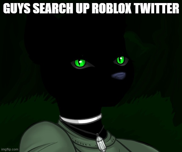 My new panther fursona | GUYS SEARCH UP ROBLOX TWITTER | image tagged in my new panther fursona | made w/ Imgflip meme maker