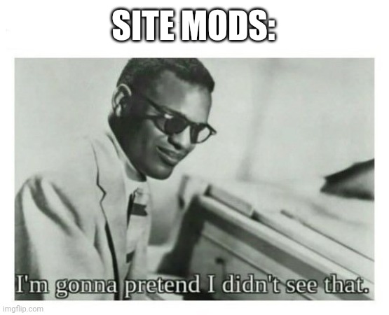 I'm gonna pretend I didn't see that | SITE MODS: | image tagged in i'm gonna pretend i didn't see that | made w/ Imgflip meme maker