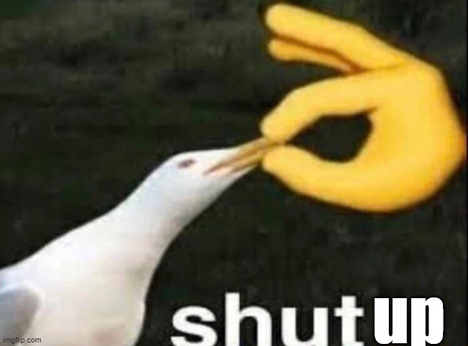 shut up | up | image tagged in shut,lol,funny,shut up | made w/ Imgflip meme maker