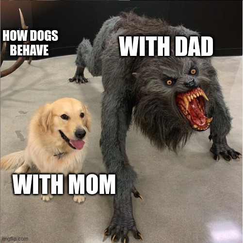 How dogs behave | HOW DOGS BEHAVE; WITH DAD; WITH MOM | image tagged in dog vs werewolf,dogs,so true memes,funny | made w/ Imgflip meme maker