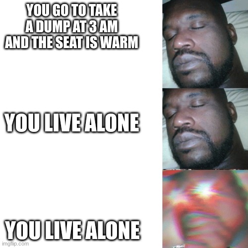 oh no | YOU GO TO TAKE A DUMP AT 3 AM AND THE SEAT IS WARM; YOU LIVE ALONE; YOU LIVE ALONE | image tagged in i sleep extend | made w/ Imgflip meme maker