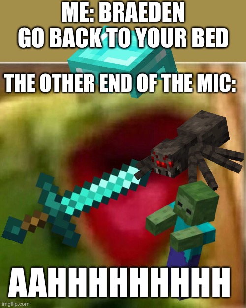 Like the mobs be on standby | ME: BRAEDEN GO BACK TO YOUR BED; THE OTHER END OF THE MIC:; AAHHHHHHHHH | image tagged in ahhhhhhhhhhhhh | made w/ Imgflip meme maker