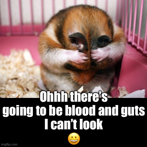 Ohhh there’s going to be blood and guts
I can’t look
? | made w/ Imgflip meme maker