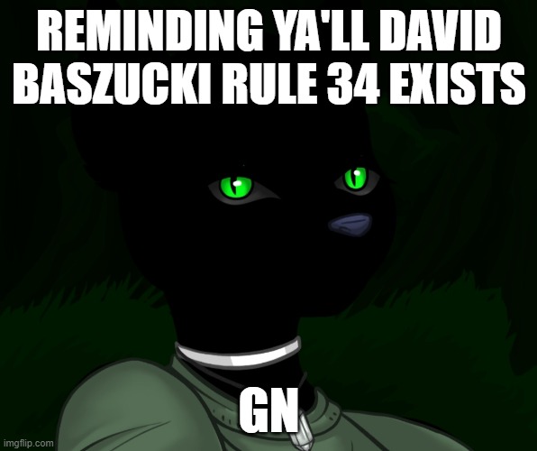 My new panther fursona | REMINDING YA'LL DAVID BASZUCKI RULE 34 EXISTS; GN | image tagged in my new panther fursona | made w/ Imgflip meme maker