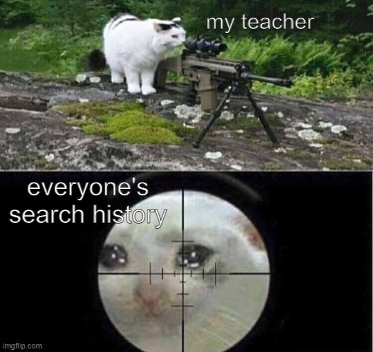 Sniper cat | my teacher; everyone's search history | image tagged in sniper cat | made w/ Imgflip meme maker