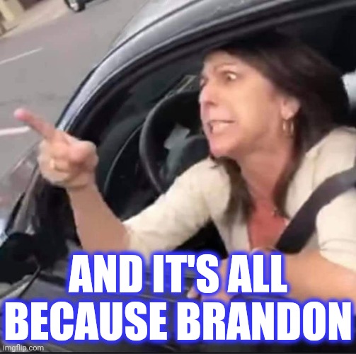 Triggered Republican | AND IT'S ALL BECAUSE BRANDON | image tagged in triggered republican | made w/ Imgflip meme maker