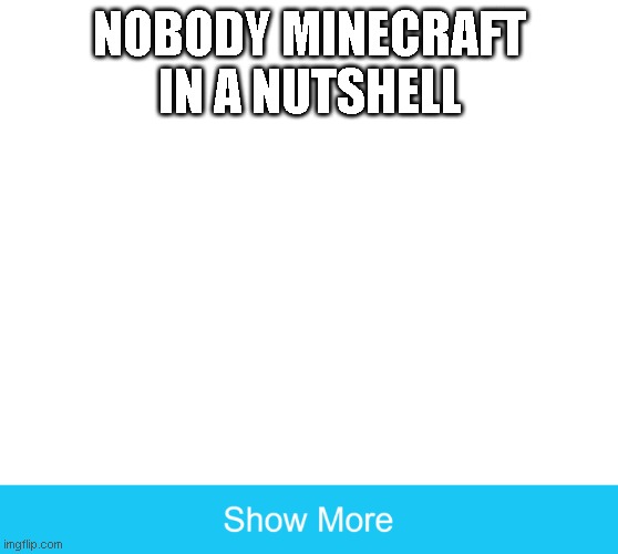 roblox in a nutshell | NOBODY MINECRAFT IN A NUTSHELL | image tagged in roblox | made w/ Imgflip meme maker