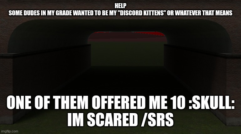 also hi chat | HELP
SOME DUDES IN MY GRADE WANTED TO BE MY "DISCORD KITTENS" OR WHATEVER THAT MEANS; ONE OF THEM OFFERED ME 10 :SKULL:
IM SCARED /SRS | made w/ Imgflip meme maker
