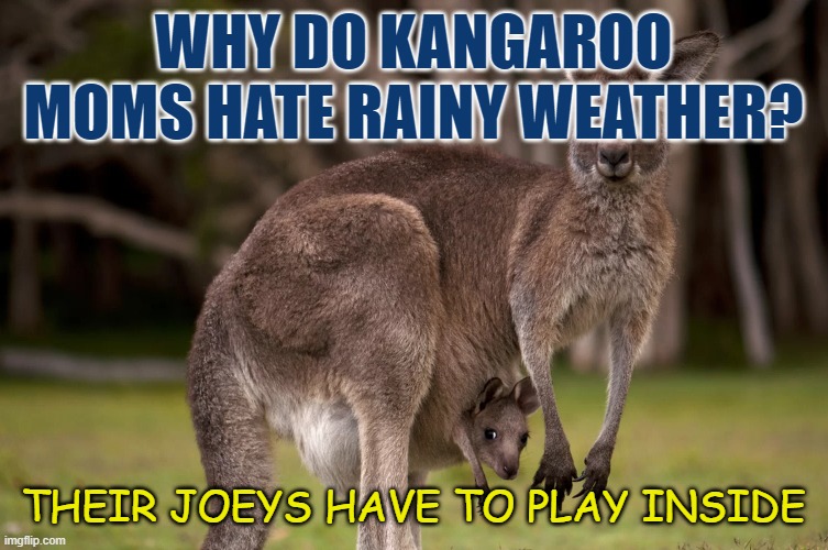 Daily Bad Dad Joke 10/17/2022 | WHY DO KANGAROO MOMS HATE RAINY WEATHER? THEIR JOEYS HAVE TO PLAY INSIDE | image tagged in so long x | made w/ Imgflip meme maker