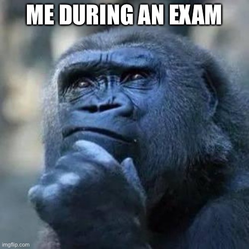 When I have to take an exam but never study for it. | ME DURING AN EXAM | image tagged in thinking ape,animals,exams,memes,gorilla,that moment when | made w/ Imgflip meme maker