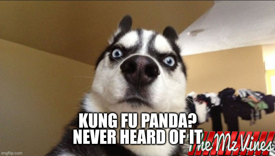 Serious dog | KUNG FU PANDA?
NEVER HEARD OF IT | image tagged in funny dog picture,kung fu panda,confused | made w/ Imgflip meme maker