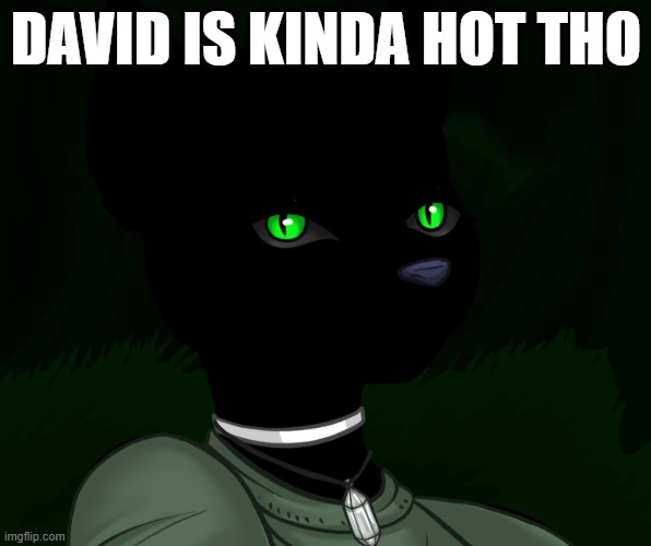 My new panther fursona | DAVID IS KINDA HOT THO | image tagged in my new panther fursona | made w/ Imgflip meme maker