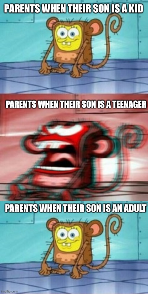 PARENTS WHEN THEIR SON IS A KID; PARENTS WHEN THEIR SON IS A TEENAGER; PARENTS WHEN THEIR SON IS AN ADULT | image tagged in monkey spongebob,memes,funny,teenagers,parents | made w/ Imgflip meme maker