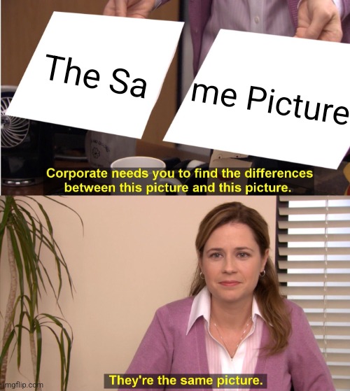 Anti-meme 27 | The Sa; me Picture | image tagged in memes,they're the same picture | made w/ Imgflip meme maker