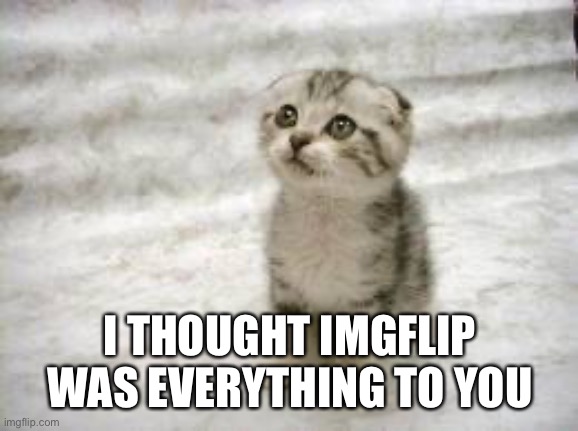 Sad Cat Meme | I THOUGHT IMGFLIP WAS EVERYTHING TO YOU | image tagged in memes,sad cat | made w/ Imgflip meme maker