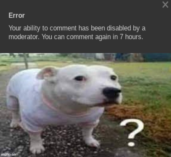 What the heck Imgflip? | made w/ Imgflip meme maker