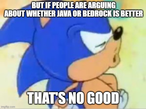That's no good | BUT IF PEOPLE ARE ARGUING ABOUT WHETHER JAVA OR BEDROCK IS BETTER; THAT'S NO GOOD | image tagged in sonic that's no good | made w/ Imgflip meme maker