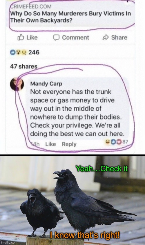 Murder On a Budget | Yeah…Check it; I know that’s right! | image tagged in funny memes,dark humor,murder of crows | made w/ Imgflip meme maker